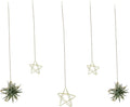 Newwe 5 Stars Kit Hanging Air Plant Holder Wall Gold Airplant Rack with Chains Home Wall Decor Boho Room Decoration Christmas Ornaments