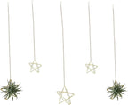 Newwe 5 Stars Kit Hanging Air Plant Holder Wall Gold Airplant Rack with Chains Home Wall Decor Boho Room Decoration Christmas Ornaments