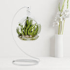 9 Inch White Ornament Display Stand, Metal Ornament Hanger Stand for Hanging Glass Globe, Air Plant Terrarium, Witch Ball, Christmas Ornament and Home Wedding Decoration