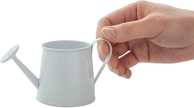 Fun Express Mini Watering Can Tabletop Decorations - 12 Pieces - Great for Spring and Garden Home Decor, Weddings and Other Table Centerpieces