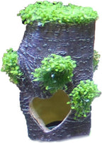 Penn-Plax Aqua-Flora Aquarium Living Resin Decoration with Embedded Glosso Plant Seeds – Tree Base – Safe and Healthy for Freshwater Fish