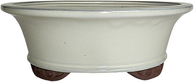 Brussel's 8" Oval Bonsai Glazed Ceramic Pot (Medium, New Cream)