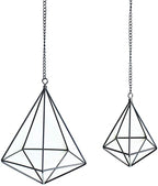 Geometric Air Plant Hangers - 4 Pack Black Metal Tillandsia Display Cages, Hanging Air Plant Holders for Indoor Plants Decor, Air Fern Frame