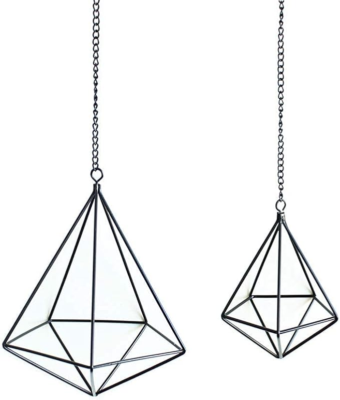 Geometric Air Plant Hangers - 4 Pack Black Metal Tillandsia Display Cages, Hanging Air Plant Holders for Indoor Plants Decor, Air Fern Frame