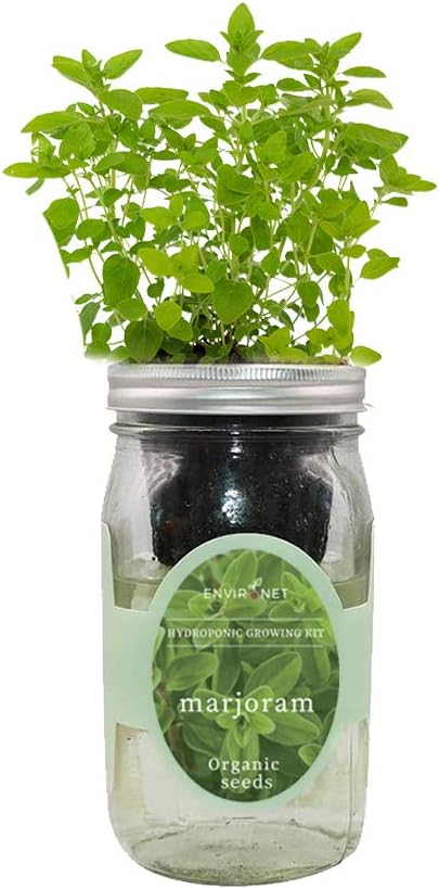 Hydroponic Herb Growing Kit, Self-Watering Mason Jar Herb Garden Starter Kit Indoor, Windowsill Herbs Garden, New Christmas Grden Gift for Mom (Marjoram)