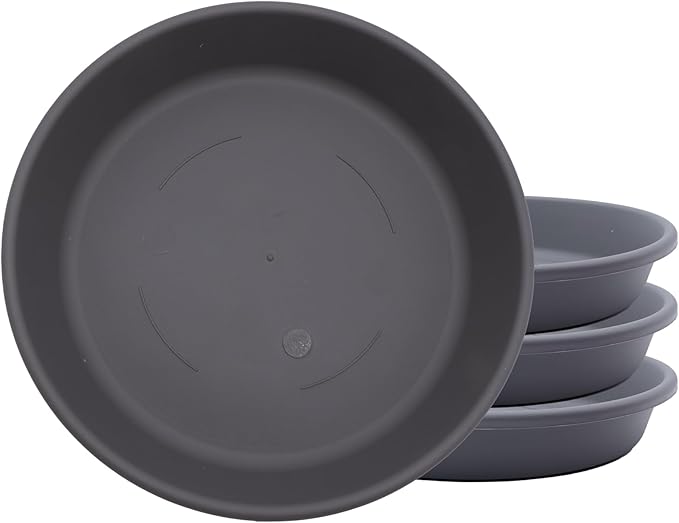 The HC Companies 8 Inch Classic Round Plant Saucer, Lightweight UV-Resistant Plastic Outdoor & Indoor Flower Pot Tray, 4-Pack Plant Pot Trays for Garden & Home Decor, Warm Gray