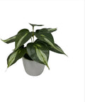 Kiko Artificial Plant-POTHOS -9 PCS in White Melamine Pot Fake Table Plant Greenery Potted Plants for Office, Living Room, Dinner Room, Shopping mall,Artificial Plant for Indoors