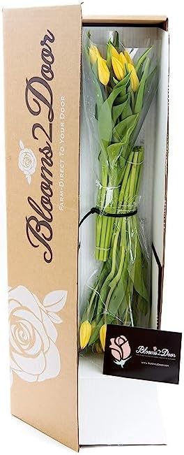 KaBloom PRIME OVERNIGHT DELIVERY - WEDDING COLLECTION - PREMIUM 20 Yellow Tulips. Gift for Birthday, Sympathy, Anniversary, Get Well, Thank You, Valentine, Mother’s Day Fresh Flowers