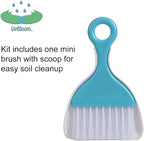 UpBloom - Plant Therapy Kit for Indoor Potting, Repotting and General Household Plant Care