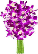 KaBloom - 20 Purple Orchid Without Vase - Fresh Flowers for Birthday, Valentine's & Mother's Day