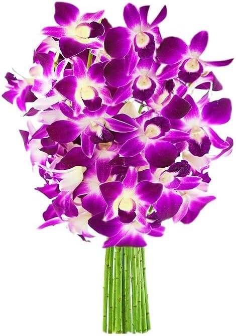 KaBloom PRIME NEXT DAY DELIVERY - Fall Collection - 10 Purple Orchid Gift for Birthday, Sympathy, Anniversary, Get Well, Thank You, Valentine, Mother’s Day Flowers