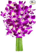 KaBloom - 10 Purple Orchid Without Vase - Fresh Flowers for Birthday, Valentine's & Mother's Day