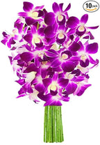 KaBloom - 10 Purple Orchid Without Vase - Fresh Flowers for Birthday, Valentine's & Mother's Day