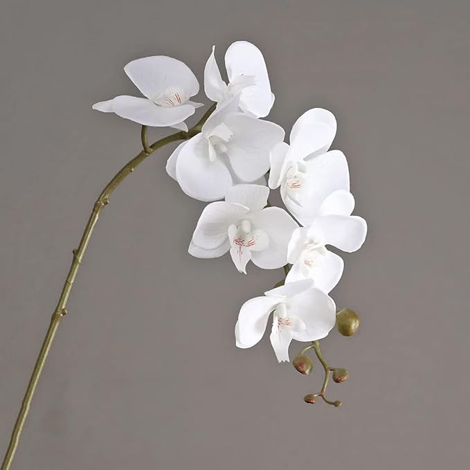 DUYONE Artificial Orchid Plant, 35 Inch 4 Pcs Phalaenopsis Flowers with Leaves, Real Touch Orchid Stems for Home Decoration