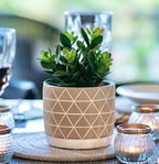 Kurrajong Farmhouse 8" high Artificial Plant in Pot - Small Faux Plant for Desk, Kitchen, Bathroom, Shelf & Coffee Table - Realistic Indoor Plant for Home Decor