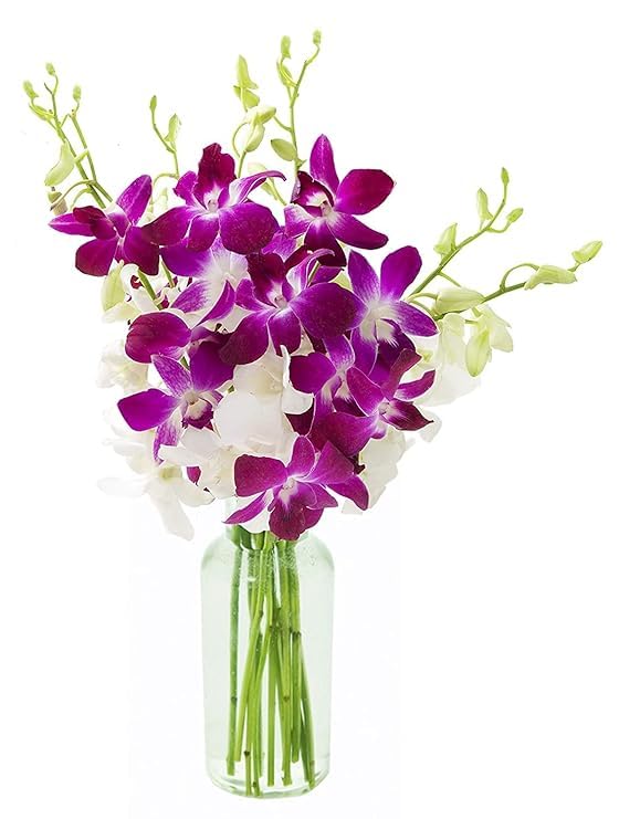 KaBloom - 5 Purple and 5 White Orchid with vase - Fresh Flowers for Birthday, Valentine's & Mother's Day