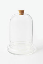 Handblown 7" Glass Terrarium with Opening for Air Flow & Cork Stopper Cloche Style Glass Dome Vivarium Display Case (Small)