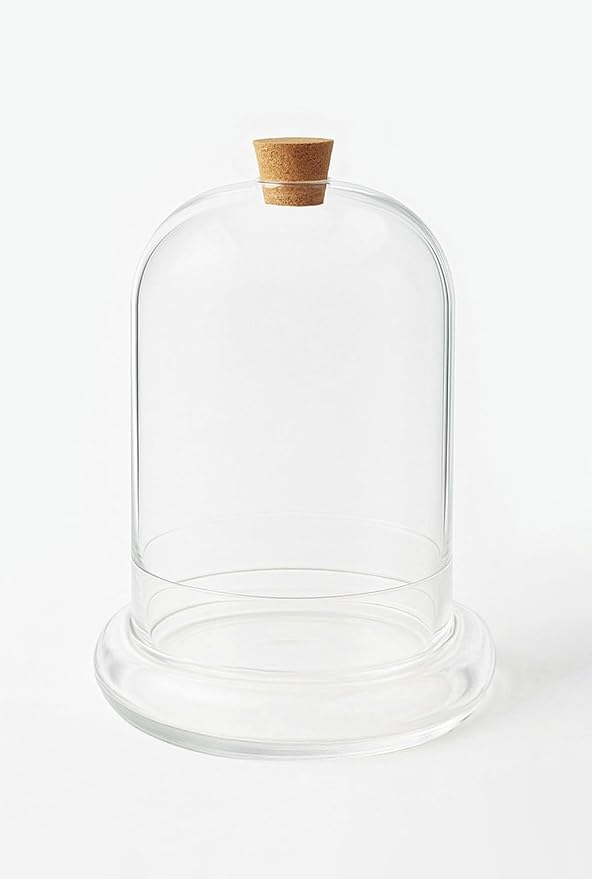 Handblown 7" Glass Terrarium with Opening for Air Flow & Cork Stopper Cloche Style Glass Dome Vivarium Display Case (Small)