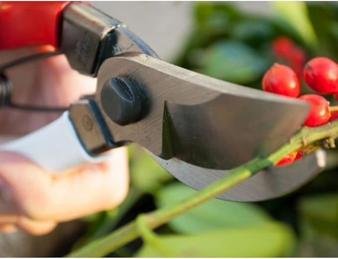 Niwaki Secateurs