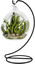 9 Inch Black Ornament Display Stand, Metal Ornament Hanger Stand for Hanging Glass Globe(5inch), Air Plant Terrarium, Witch Ball, Christmas Ornament and Home Wedding Decoration (1, 9x4 Black)