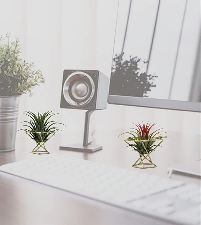 Geometric Air Plant Holder Airplants Rack Metal Plants Stand Planter Shelves Himmeli Living Decor Tillandsia Pot Containers (Gold 3pcs)