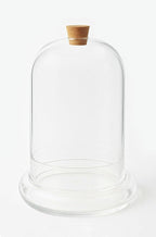 Handblown 10" Glass Terrarium with Opening for Air Flow & Cork Stopper Cloche Style Glass Dome Vivarium Display Case (Large)