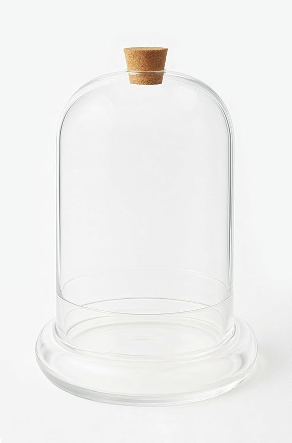 Handblown 10" Glass Terrarium with Opening for Air Flow & Cork Stopper Cloche Style Glass Dome Vivarium Display Case (Large)
