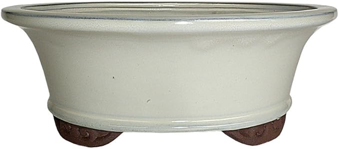 Brussel's 6" Oval Bonsai Glazed Ceramic Pot (Small, New Cream)