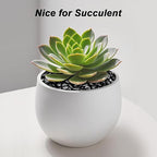 Terrarium Supplies,Virekm River Rocks, Decorative Ornamental Pebbles,Garden Landscaping Stones,Gravel Filler for Home Decoration Flower Bed Fish Tank Plants Vases Succulents