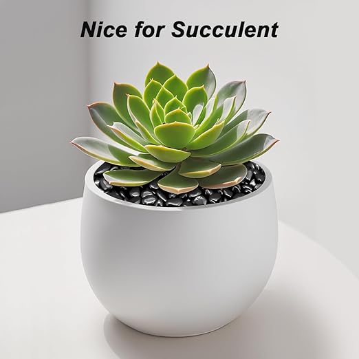 Garden Landscaping Stones,Landscaping Pebbles,River Rocks,Decorative Ornamental Pebbles,Gravel Filler for Home Decoration Flower Bed Fish Tank Plants Vases Succulents (1, Black, 1 Pound)