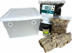 BugzyBugs 16 Quart Bioactive Vivarium Starter Kit All-in-One Accessory & Breeding Setup for Isopods, Crustacean,Springtails, Reptiles & Amphibians