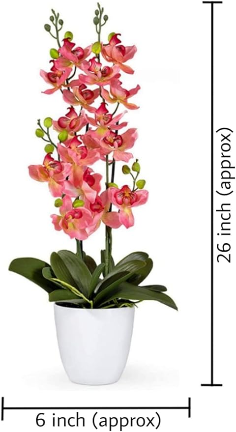 Serene Spaces Living Pink Orchid in White Ceramic Pot, Perfect for Weddings and Home Décor, Real Looking Plant for Decoration, Sold Individually, Measures 26" Tall X 6" Diameter