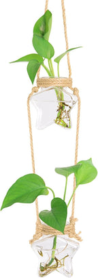 XXXFLOWER Wall Hanging Propagation Station，2 Tiers Star Shaped Glass Flower Vase for Hydroponic Planter Terrarium for Plant Cutting Home Office Living Room Garden Decor