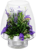 Fiora Flower | Long Lasting Orchids| Lasts up to 5 Years | No Water Need | Allergy Free | Odor Resistant | Unique Present Gift