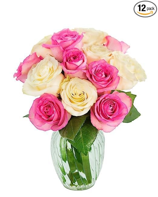 KaBloom - Embrace of Peace Bouquet of 6 Pink Rose 6 White Rose With Vase- Fresh Flowers for Birthday, Valentine's & Mother's Day