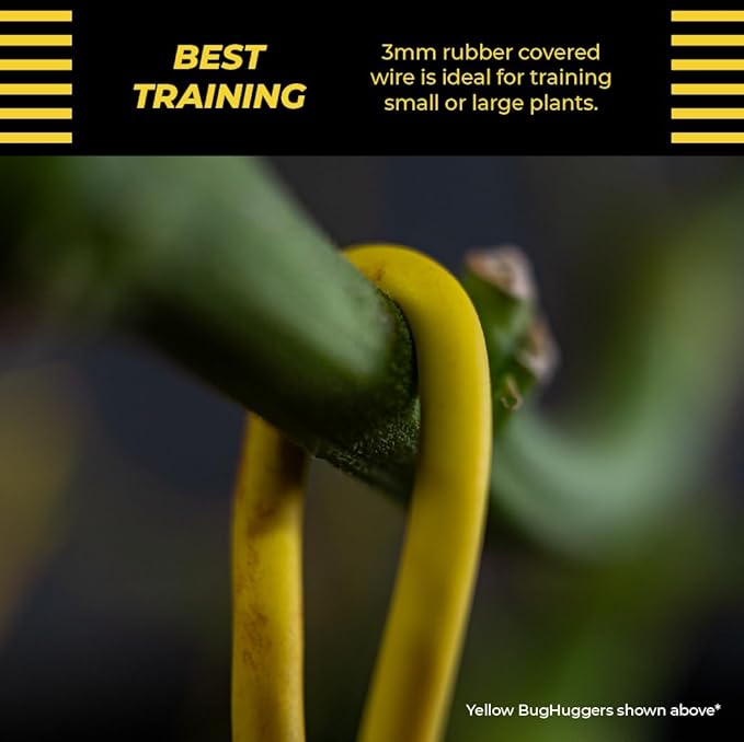 BudHuggers (Black) for Optimal Plant Training | 50ft (15M) | 3mm Thick Garden Wire Ties | Flexible & Durable | Rubber Plant Ties to Yield Bigger Buds, Stronger Branches & Larger Canopies