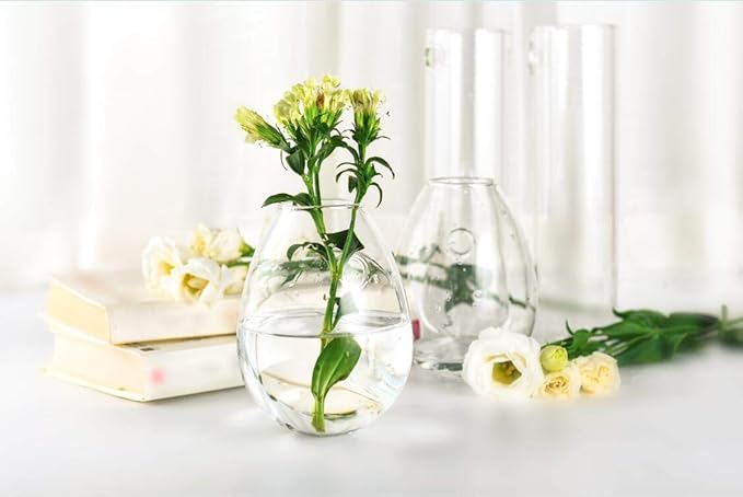 Kingbuy Wall Hanging Propagation Station Glass Plant Terrarium Container Egg Shape for Propagating Hydroponic Plants Home Office Garden Decor Wedding, 2 Pack