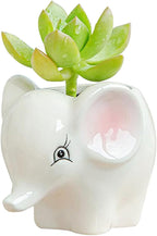 DIYOMR Cute Animal Ceramics Planter Small Succulent Pot Cartoon Shaped Plant Pot for Mini Plants Flower Cactus, Smooth Shiny Ceramic - Plants Not Included (Elephant)