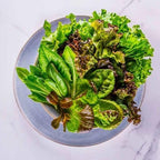 AeroGarden Mixed Romaine Lettuce Seed pod Kit, 6-Pod