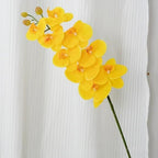 2 Pcs Orchid Stems 38" Artificial Flowers Real Touch Latex Faux Phalaenopsis Branches White Artificial Flowers for Wedding Party Home Garden Decor (Yellow)