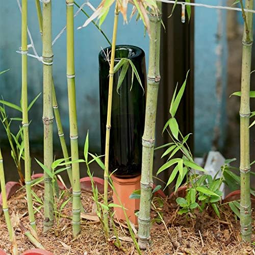 Jovitec Plant Watering Stakes Self Watering Spikes Terracotta Automatic Plant Waterers Devices for Indoor Outdoor Home and Office Plants(Rustic Red,6 Pieces)