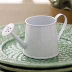 Fun Express Mini Watering Can Tabletop Decorations - 12 Pieces - Great for Spring and Garden Home Decor, Weddings and Other Table Centerpieces