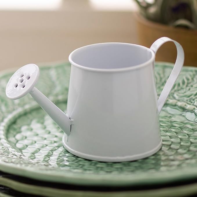 Fun Express Mini Watering Can Tabletop Decorations - 12 Pieces - Great for Spring and Garden Home Decor, Weddings and Other Table Centerpieces