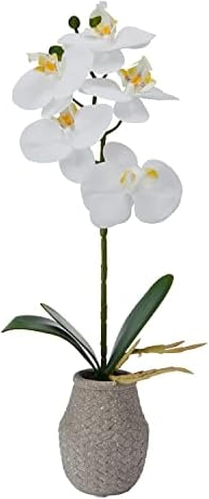 Mikasa Artificial Orchid in Pot, Real Touch Phalaenopsis Orchid, Embossed Weave Cement Pot, 16-Inch Single Branch, White/Yellow