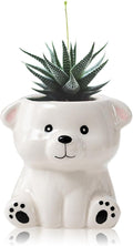 DIYOMR Cute Animals Planter, Mini Ceramic Cartoon Animal Shaped Succulent Flower Pot Indoor Air Plants Holder, Smooth Shiny Decorative Flower Cactus Planter - Plants Not Included (White Bear)
