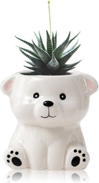 DIYOMR Cute Animals Planter, Mini Ceramic Cartoon Animal Shaped Succulent Flower Pot Indoor Air Plants Holder, Smooth Shiny Decorative Flower Cactus Planter - Plants Not Included (White Bear)
