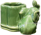 Generic Coop & Harp Small Lucky Bamboo Live Indoor Plant with Ceramic Vase, Live Indoor Lucky Bamboo for Home, Office and Gift (Elephant), Green