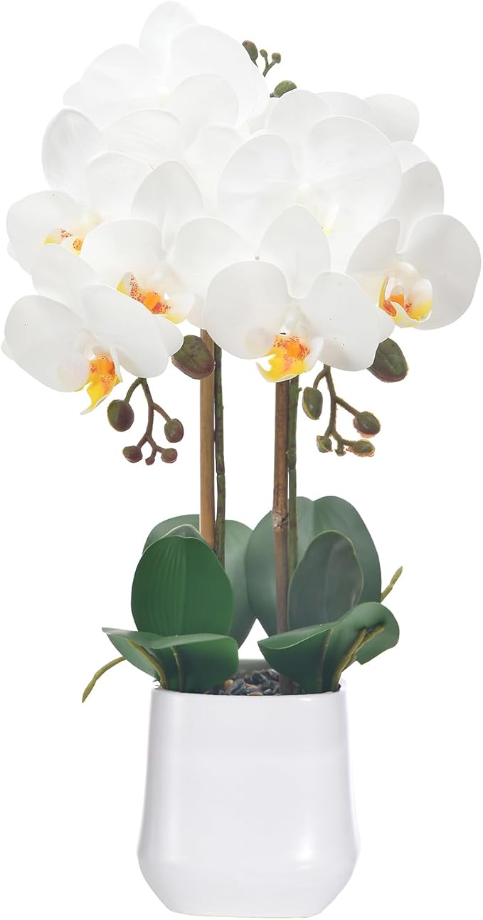 Orchids Artificial Plant in Ceramic Pot 18.5" Faux Orchid Phalaenopsis Flowers Arrangement for Home Office Table Centerpiece Indoor Decor, White