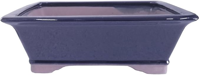 Brussel's 10" Rectangle Bonsai Glazed Ceramic Pot (Large, Dark Navy)
