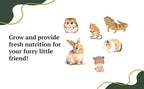 Premium Dandelion Seeds for Planting and Wheatgrass for Growing Cat Grass for Indoor cat, Kit Mix for Bearded Dragons, Tortoises, Guinea Pig Treats, Gerbil, Hamster and Chinchilla Food